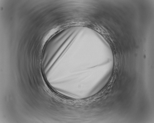 X0000058790003200510211825