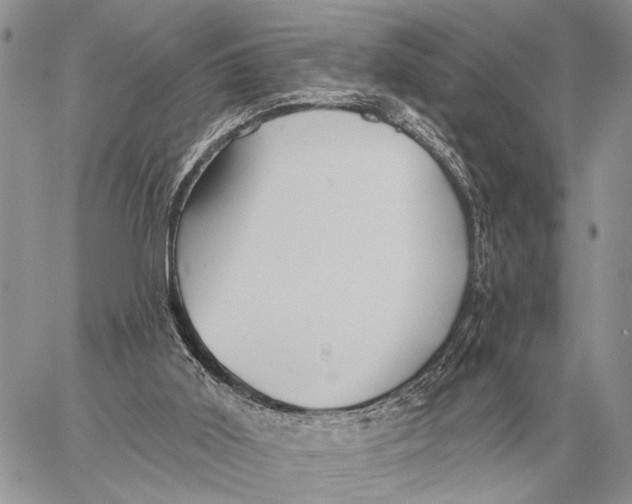 X0000058790011200510211825