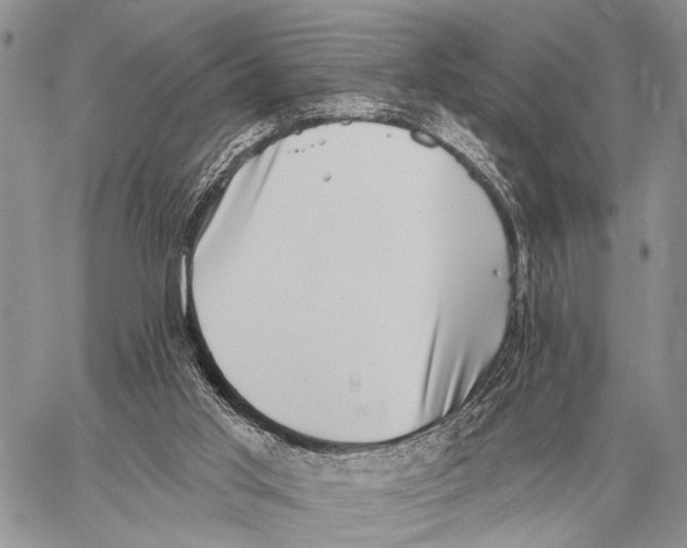 X0000058790013200510211825