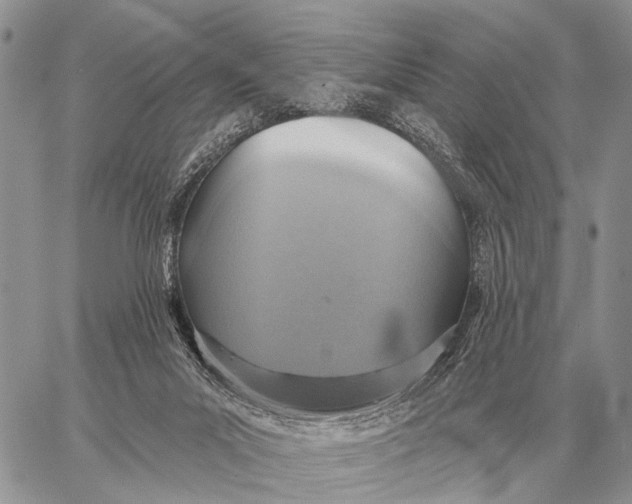 X0000058790023200510211825