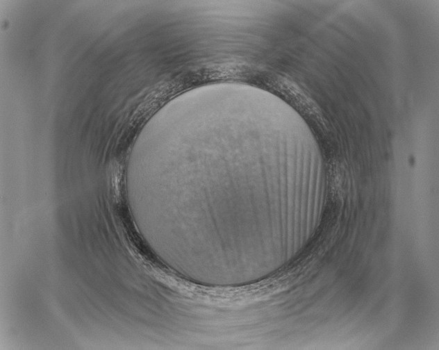 X0000058790026200510211824