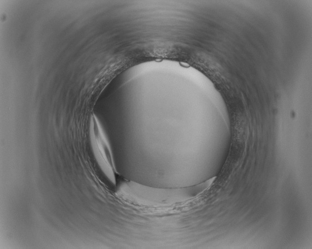 X0000058790031200510211824