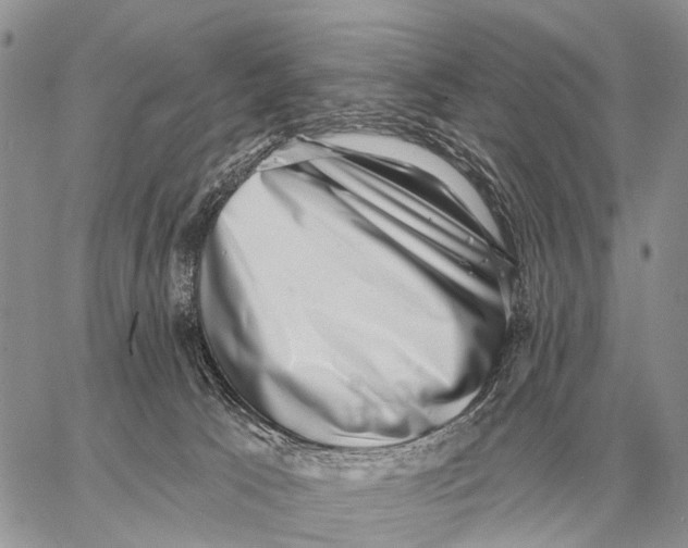 X0000058790033200510211824