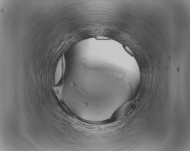 X0000058790035200510211824