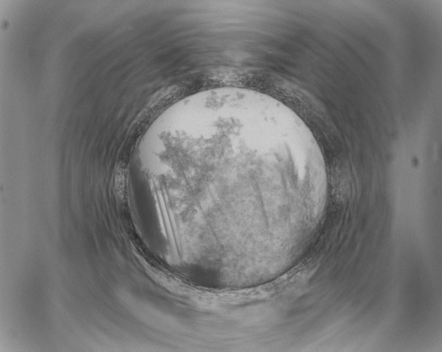 X0000058790036200510211824