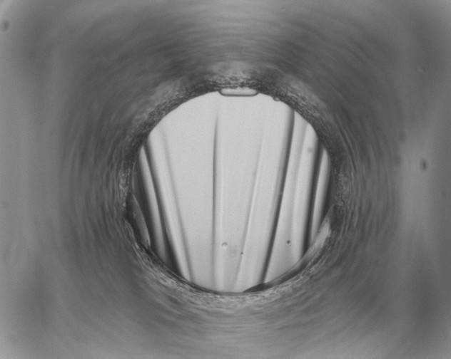 X0000058790037200510211824