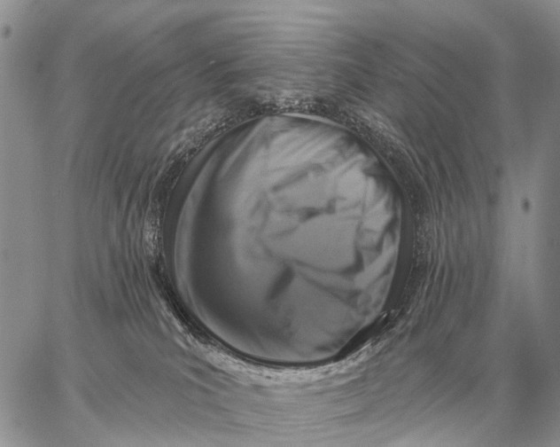 X0000058790039200510211824