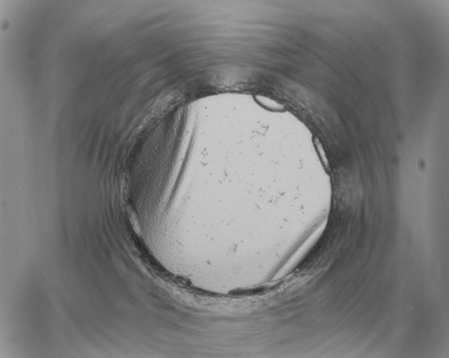 X0000058790044200510211824