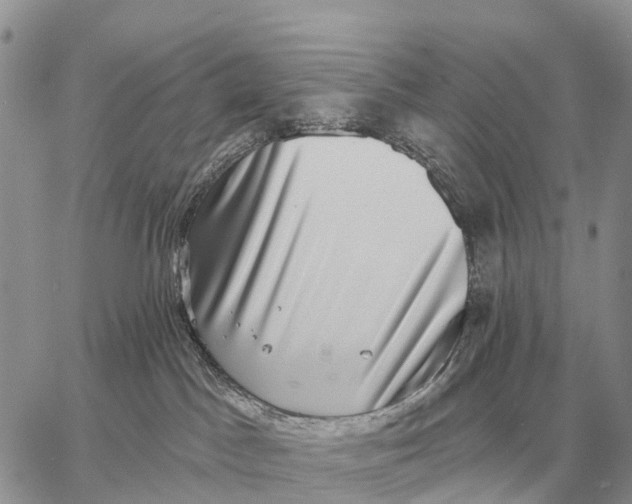 X0000058790045200510211824