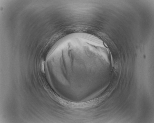 X0000058790046200510211824