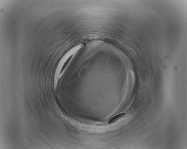 X0000058790048200510211824
