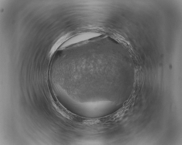 X0000058790051200510211823