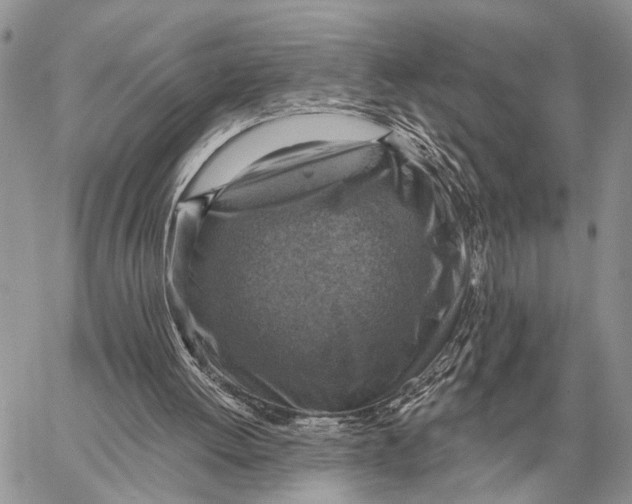 X0000058790052200510211823