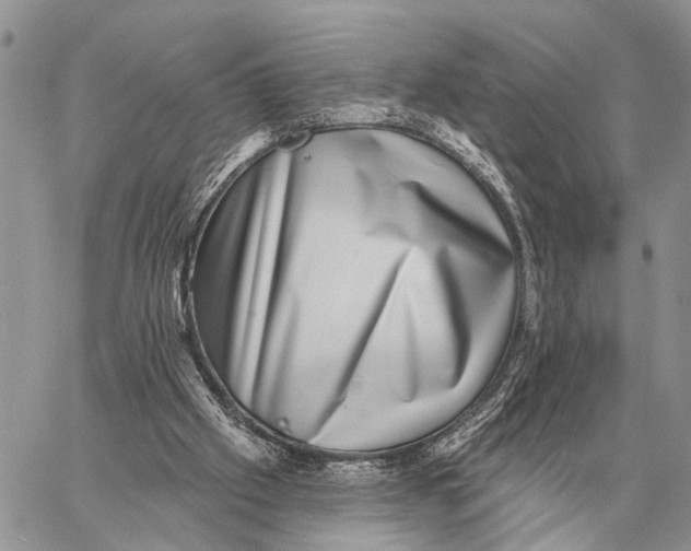 X0000058790057200510211823