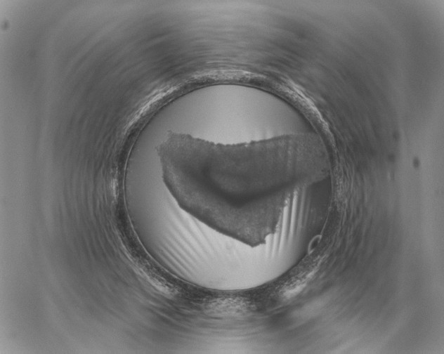 X0000058790063200510211824