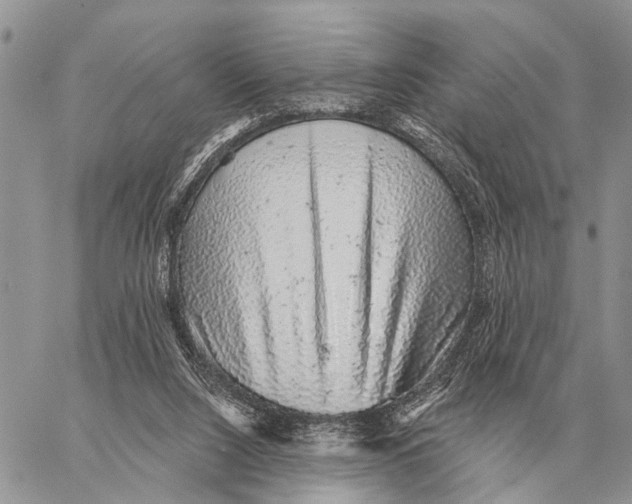 X0000058790064200510211824