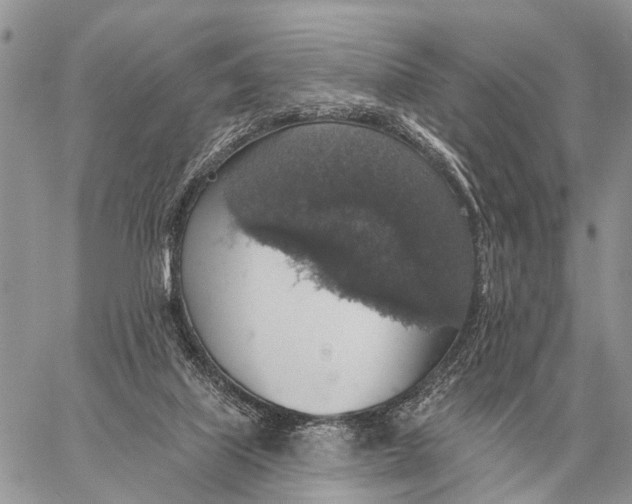 X0000058790067200510211824