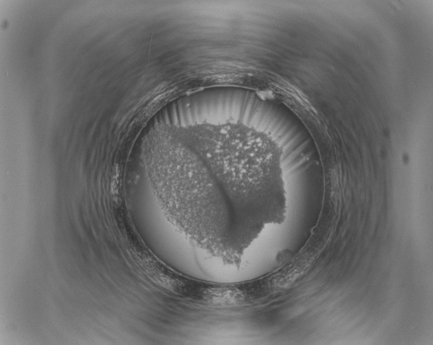 X0000058790073200510211824
