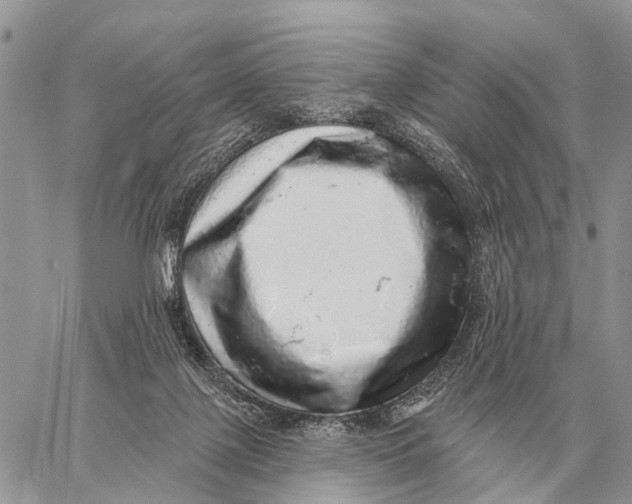 X0000058790075200510211824