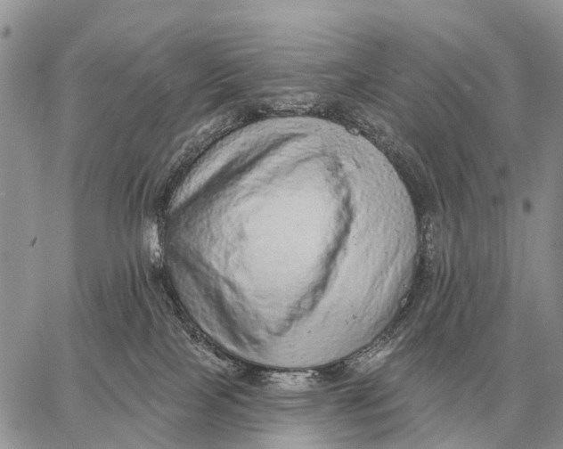 X0000058790089200510211824