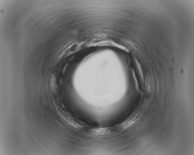 X0000058790092200510211824