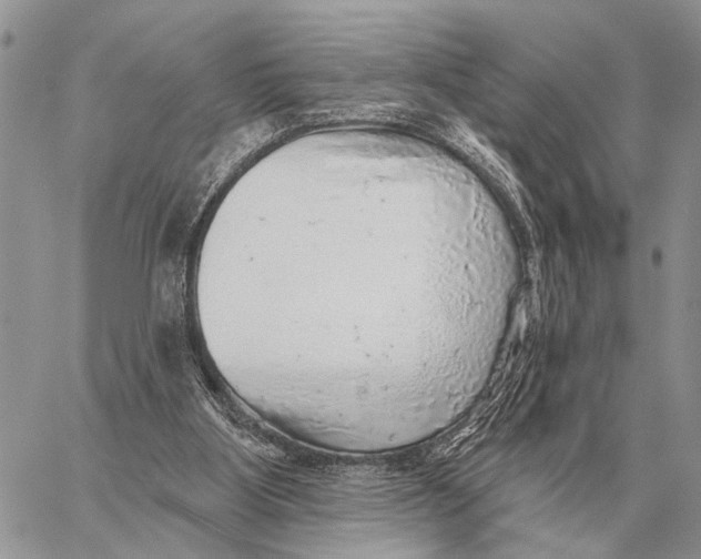 X0000058790107200510211823