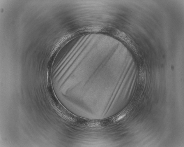 X0000058790110200510211823