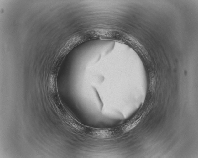X0000058790121200510211823
