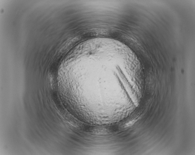 X0000058790123200510211823