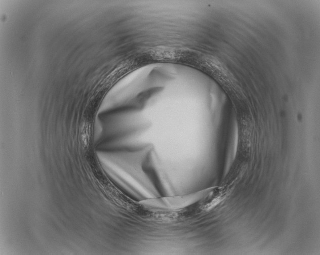 X0000058790125200510211823