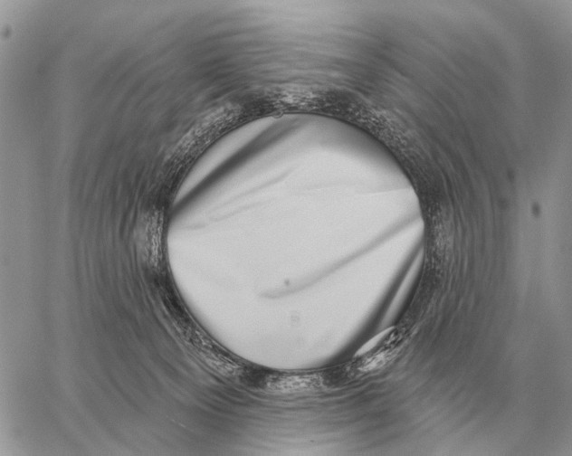 X0000058790129200510211823