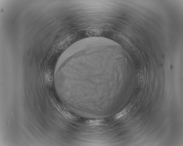 X0000058790134200510211823