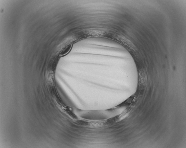 X0000058790141200510211823