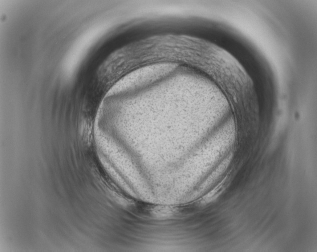 X0000058790142200510211823