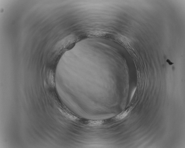 X0000058790143200510211823