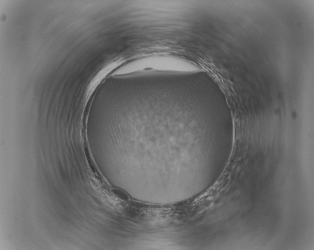 X0000058790147200510211822