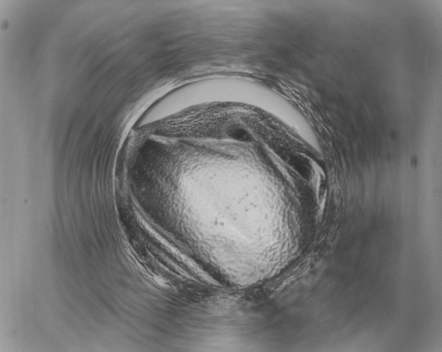 X0000058790148200510211822
