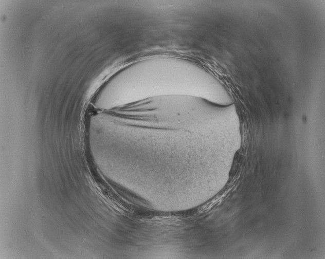 X0000058790150200510211822