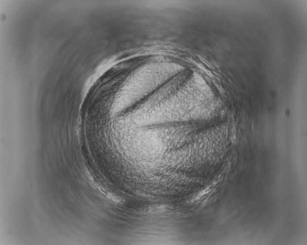 X0000058790152200510211822