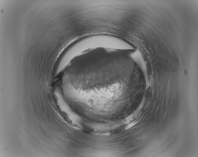 X0000058790156200510211822