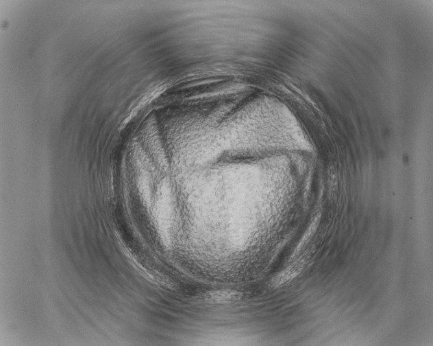 X0000058790158200510211822