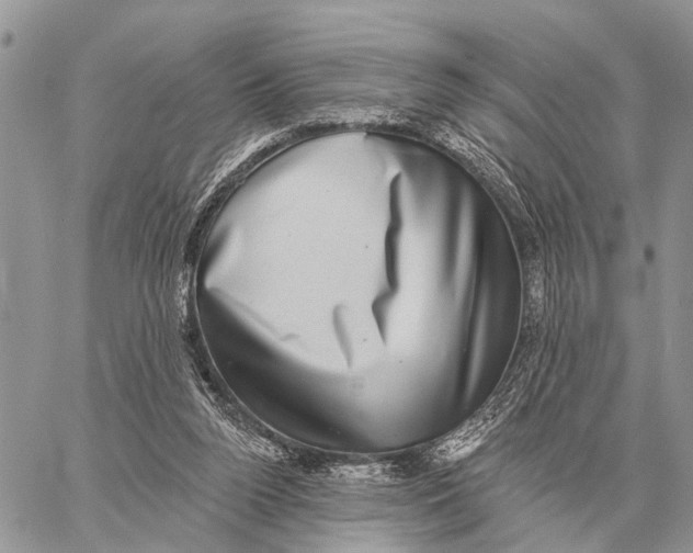 X0000058790160200510211822