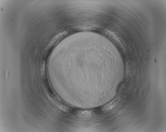 X0000058790163200510211822