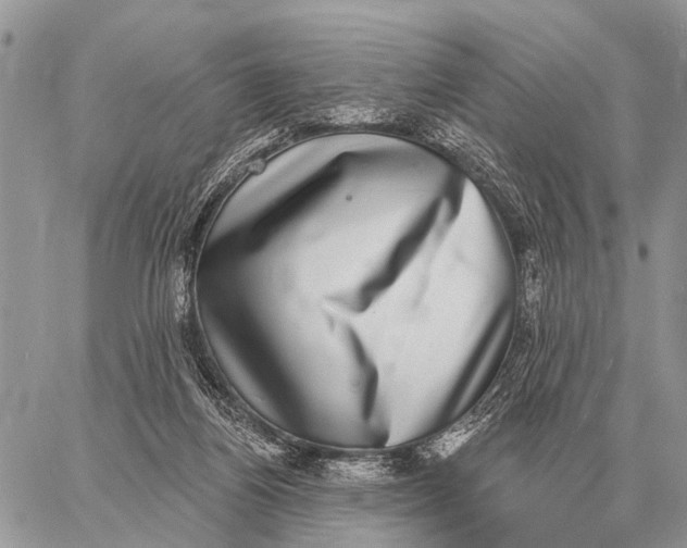 X0000058790164200510211822