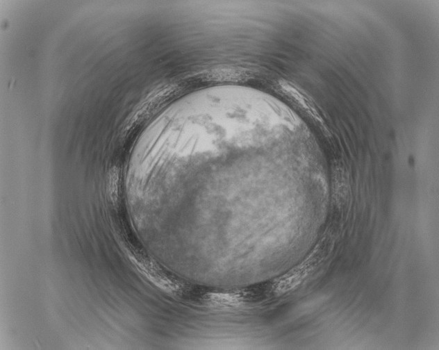 X0000058790167200510211822
