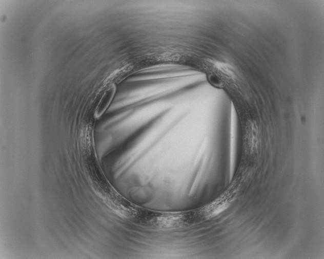X0000058790172200510211822
