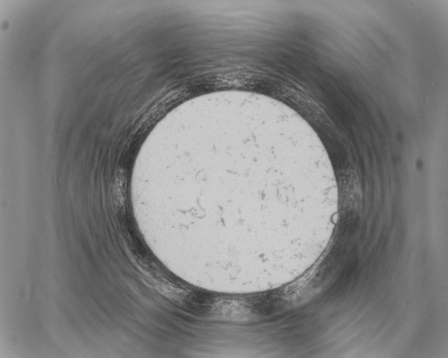 X0000058790174200510211822