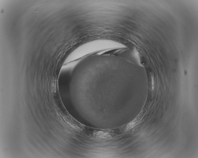 X0000058790180200510211822