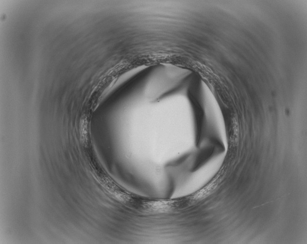 X0000058790184200510211822