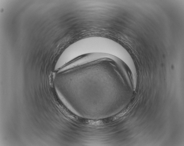 X0000058790185200510211822